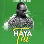 HAYA BY DJ CENT MR NO REST